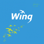 wing delivery icon